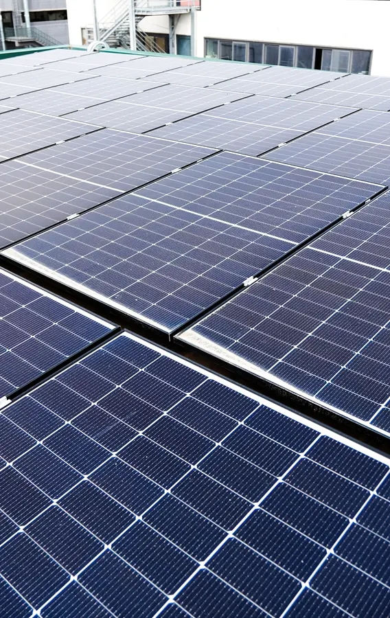 GEON - Dettaglio dei moduli fotovoltaici aziendali